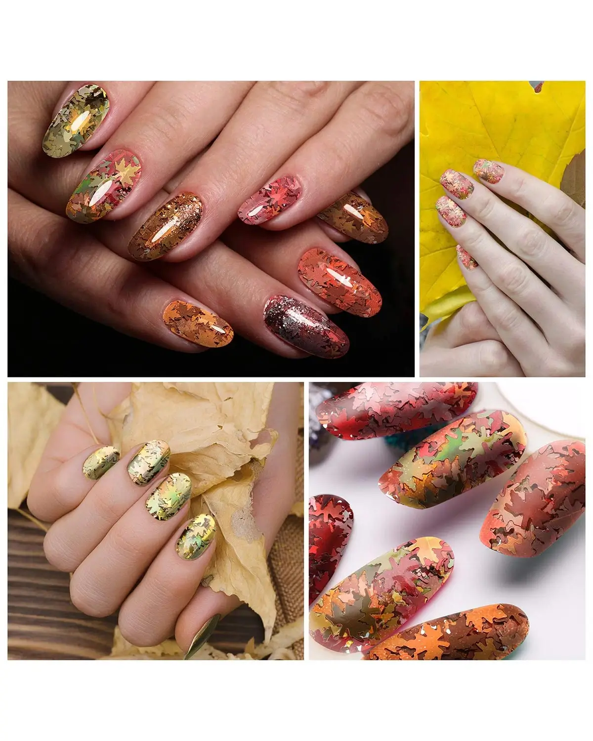 Maitys 10 Boxes Fall Nail